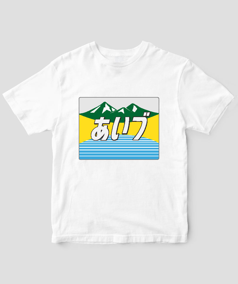 pTa-aidu-TS-001.001.-