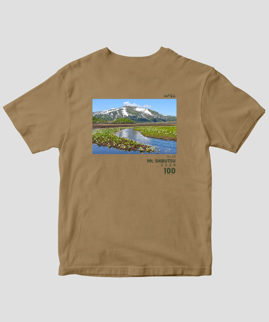 pTa-100meizan-TS-058.537.-