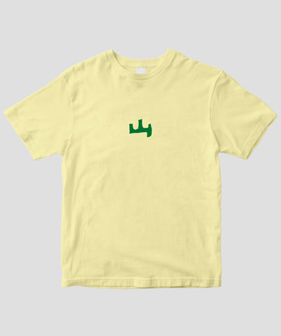 日本百名山 / No.31 雨飾山 Type A / 山と溪谷社