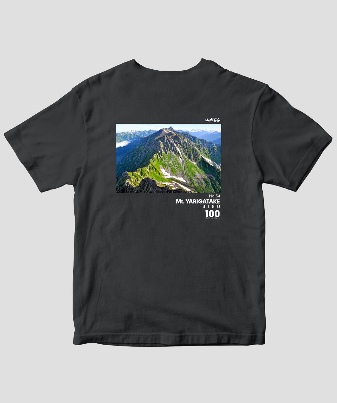 pTa-100meizan-TS-108.965.-