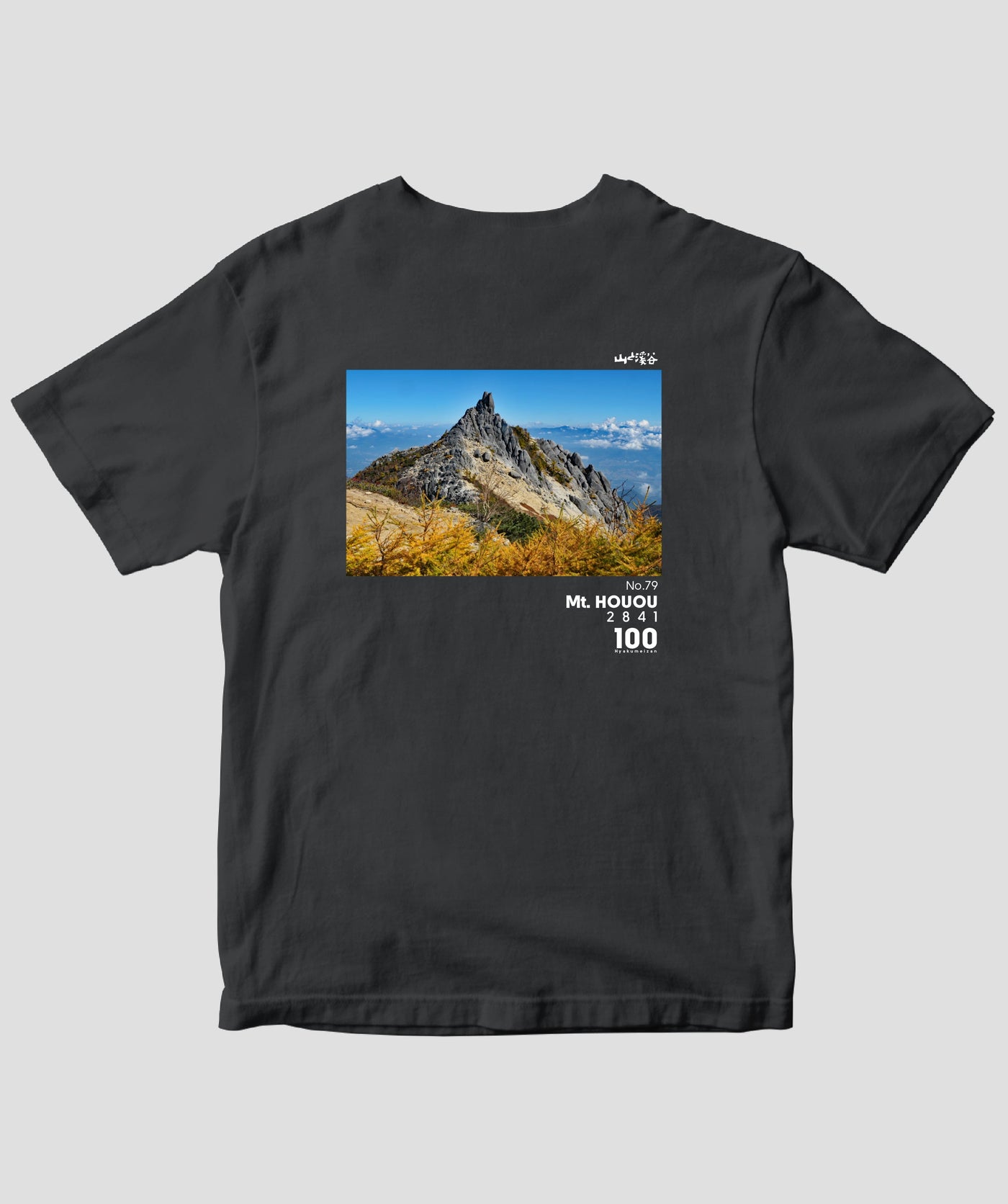 日本百名山 / No.79 鳳凰山 Type A / 山と溪谷社– pTa . shop