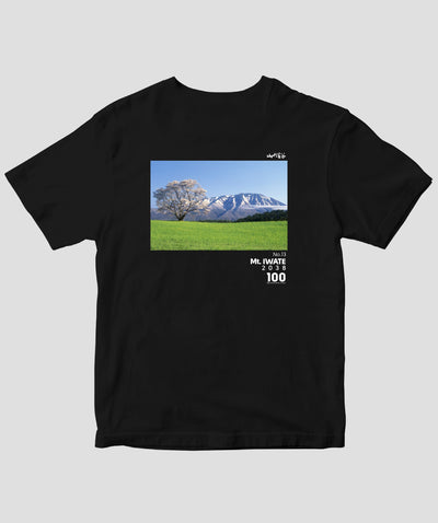 【ドライT】日本百名山 / No.13 岩手山 Type A / 山と溪谷社