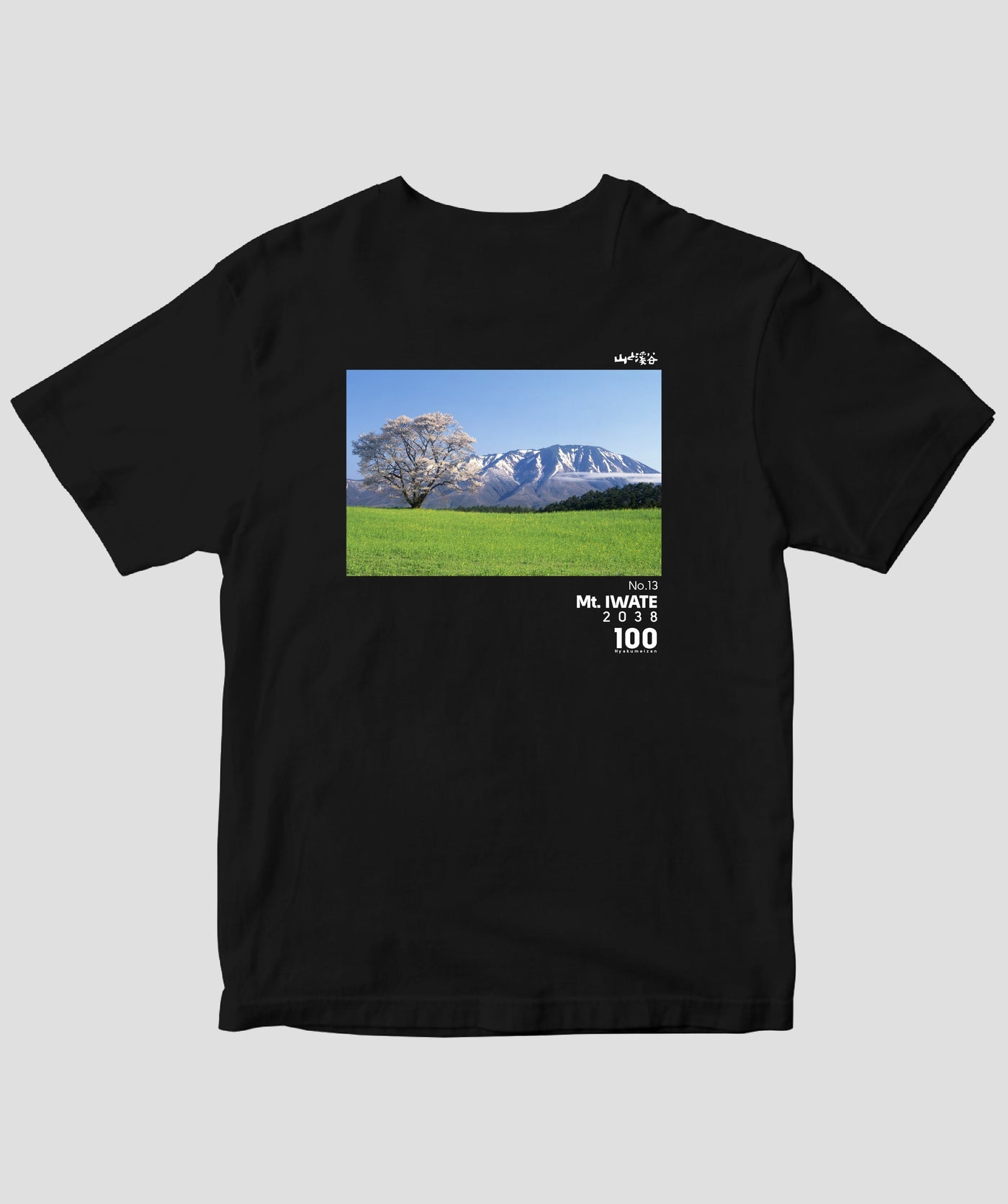【ドライT】日本百名山 / No.13 岩手山 Type B / 山と溪谷社
