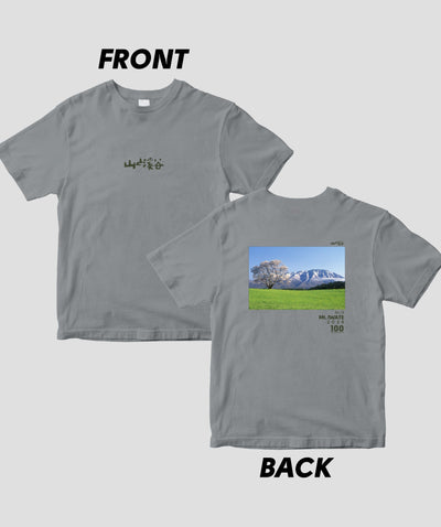 【ドライT】日本百名山 / No.13 岩手山 Type B / 山と溪谷社