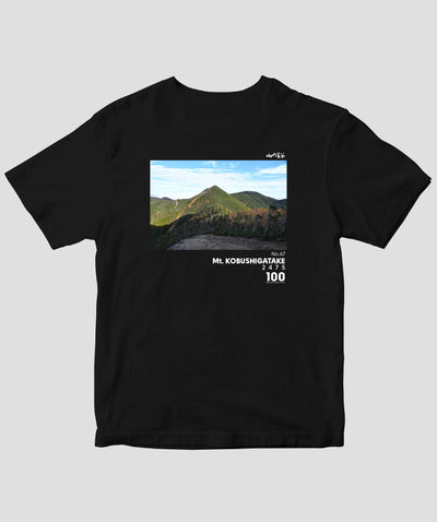 【ドライT】日本百名山 / No.67 甲武信ヶ岳 Type A / 山と溪谷社