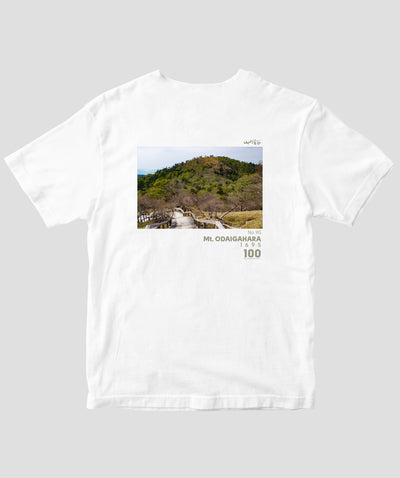 【ドライT】日本百名山 / No.90 大台ヶ原山 Type A / 山と溪谷社