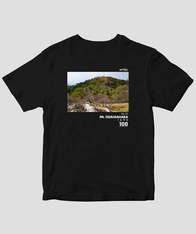 【ドライT】日本百名山 / No.90 大台ヶ原山 Type A / 山と溪谷社