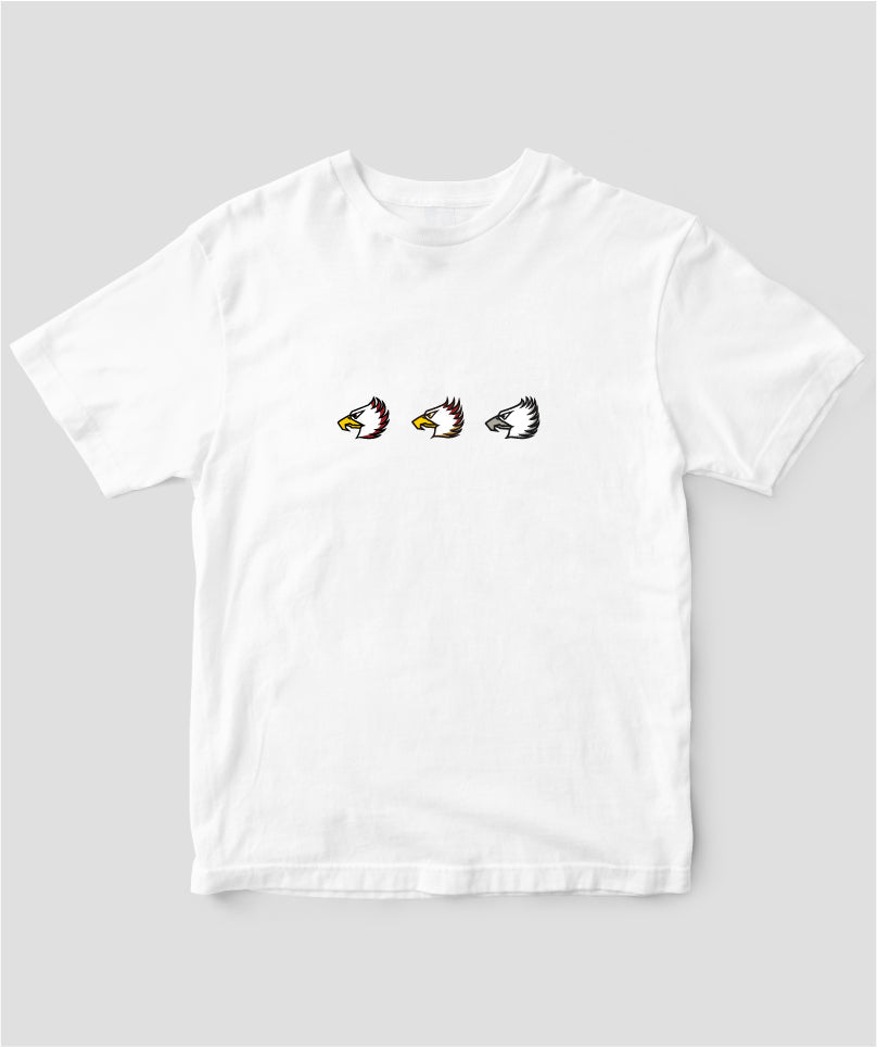 pTa-204stlow-TS-001.001.-