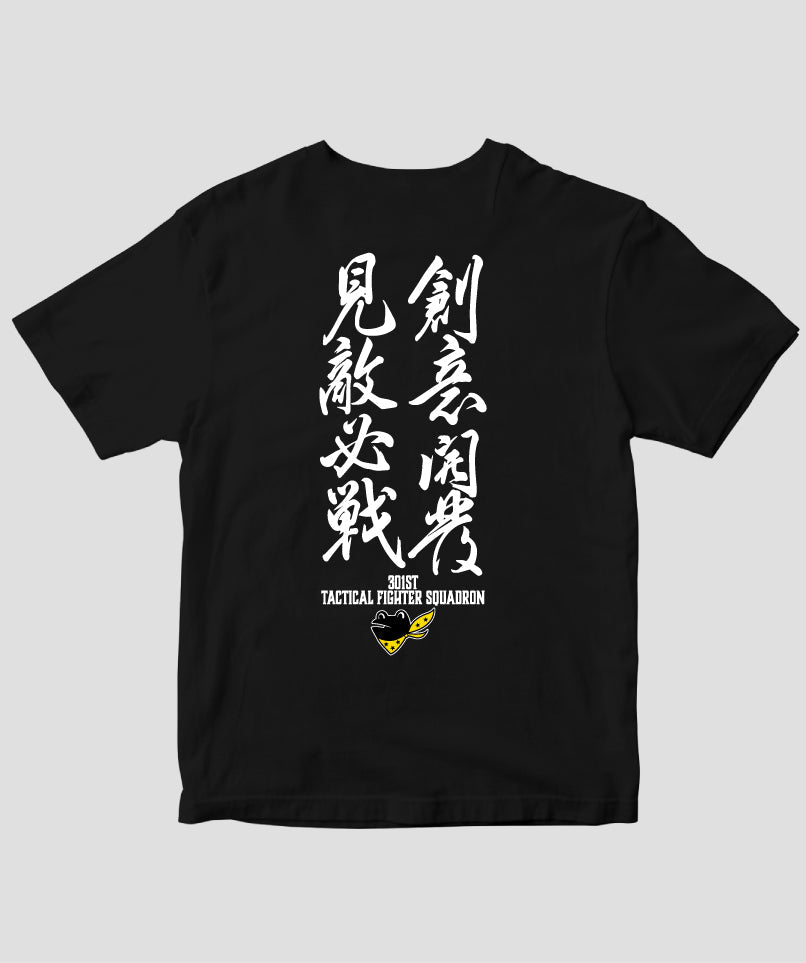 pTa-301st-TS-005.005.- pTa-301st-TS-005.005.-