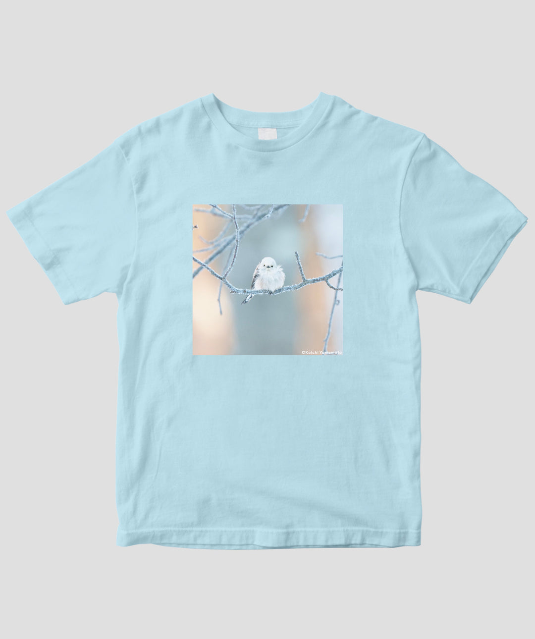 新着商品 – pTa . shop