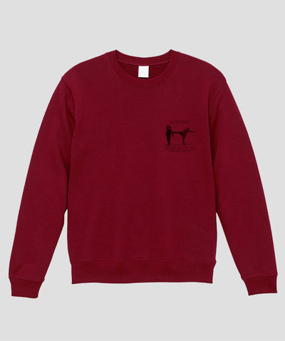 杖を持っているときにキックの達人が襲ってきたら スウェット / シャーロック・ホームズの護身術 バリツ / 平凡社