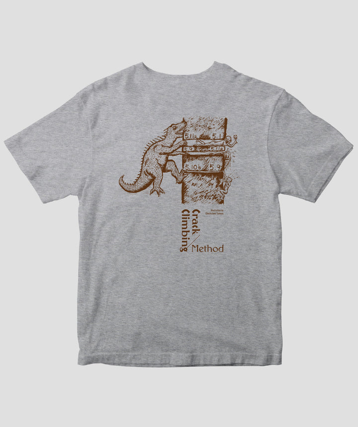 pTa-ccm-TS-005.006.-