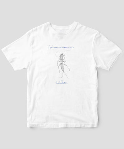 舘野鴻 虫Tシャツ「がろあむし」/ 偕成社