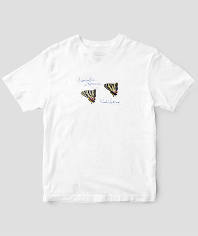 舘野鴻 虫Tシャツ「ぎふちょう」/ 偕成社