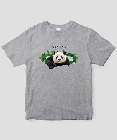 今泉忠明『パンダ沼への招待状』パンダ沼Tシャツ / 世界文化社