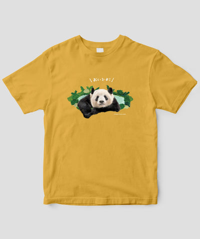 今泉忠明『パンダ沼への招待状』パンダ沼Tシャツ / 世界文化社