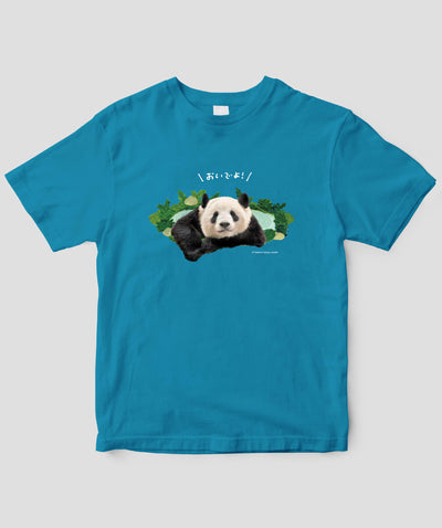 今泉忠明『パンダ沼への招待状』パンダ沼Tシャツ / 世界文化社