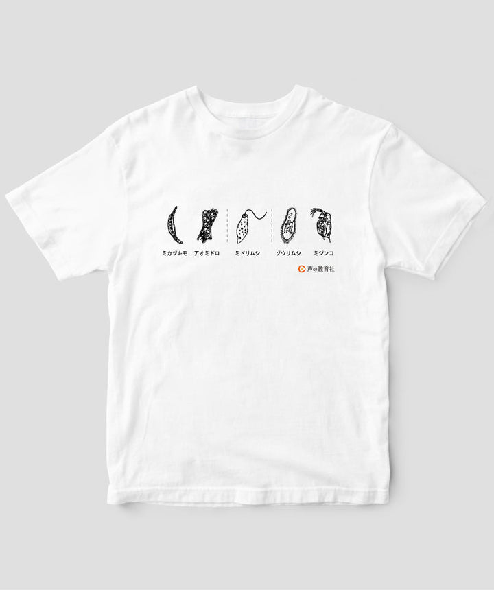 pTa-plankton-TS-001.001.-