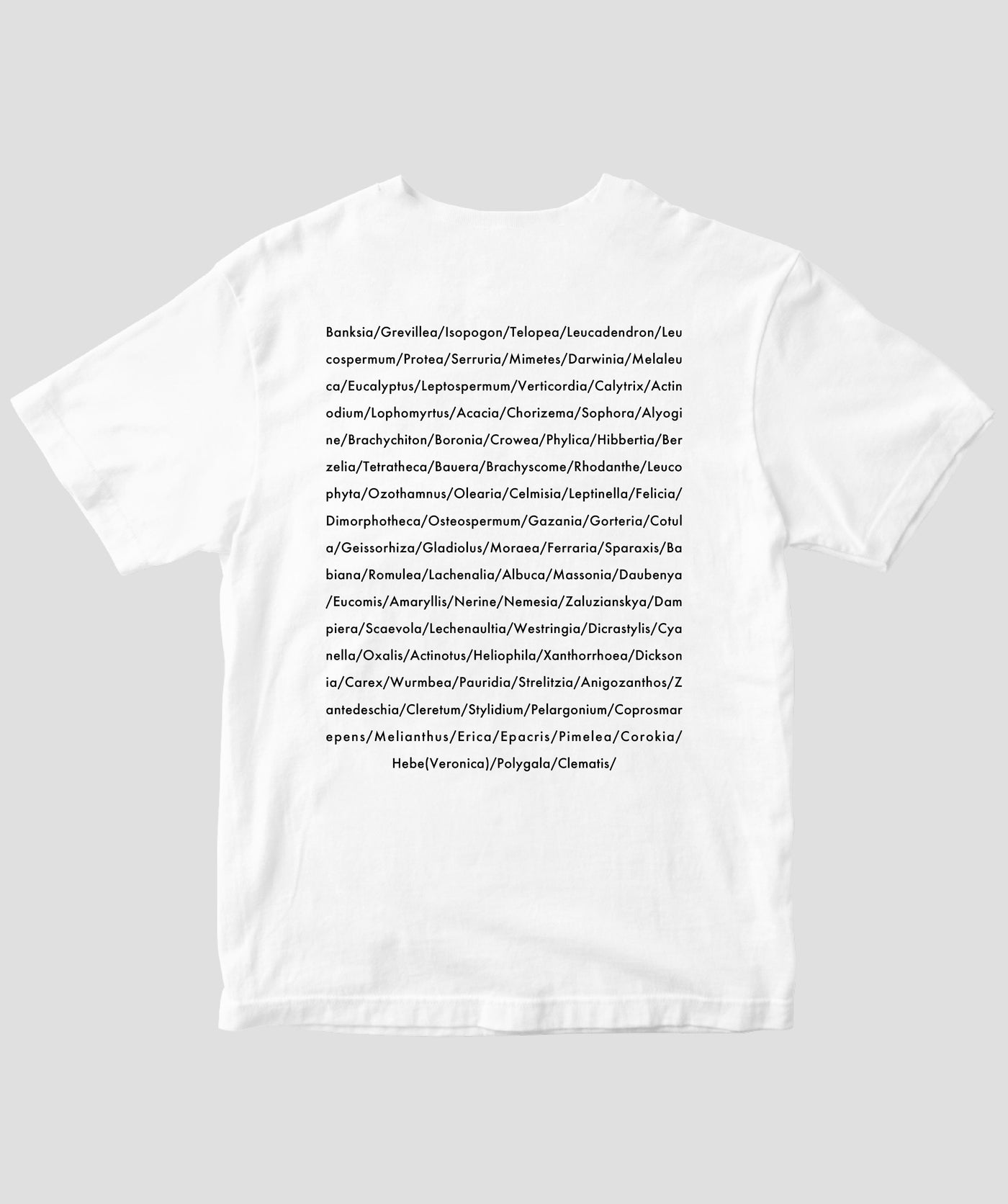 富田裕明 / 伊藤章太郎『南半球プランツ栽培事典』/ Banksia / グラフィック社