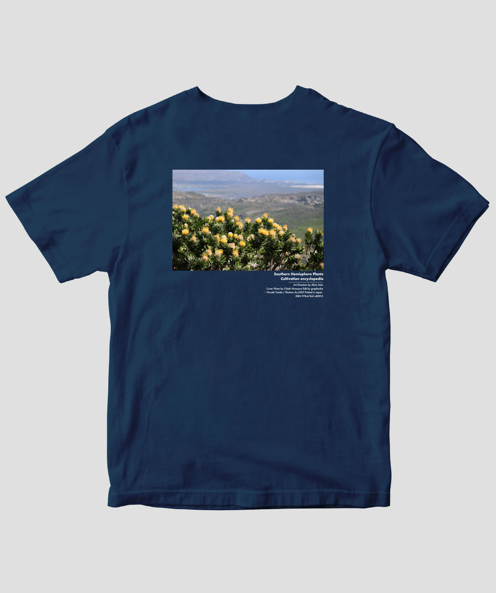 グラフィック社 / GRAPHIC-SHA – pTa . shop