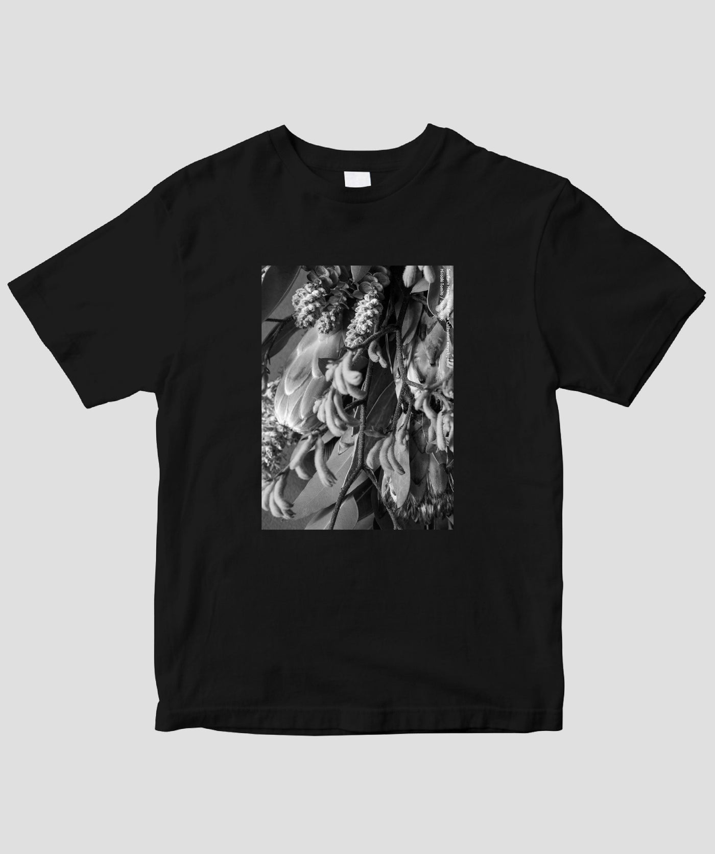 富田裕明 / 伊藤章太郎『南半球プランツ栽培事典』/ Swag / グラフィック社