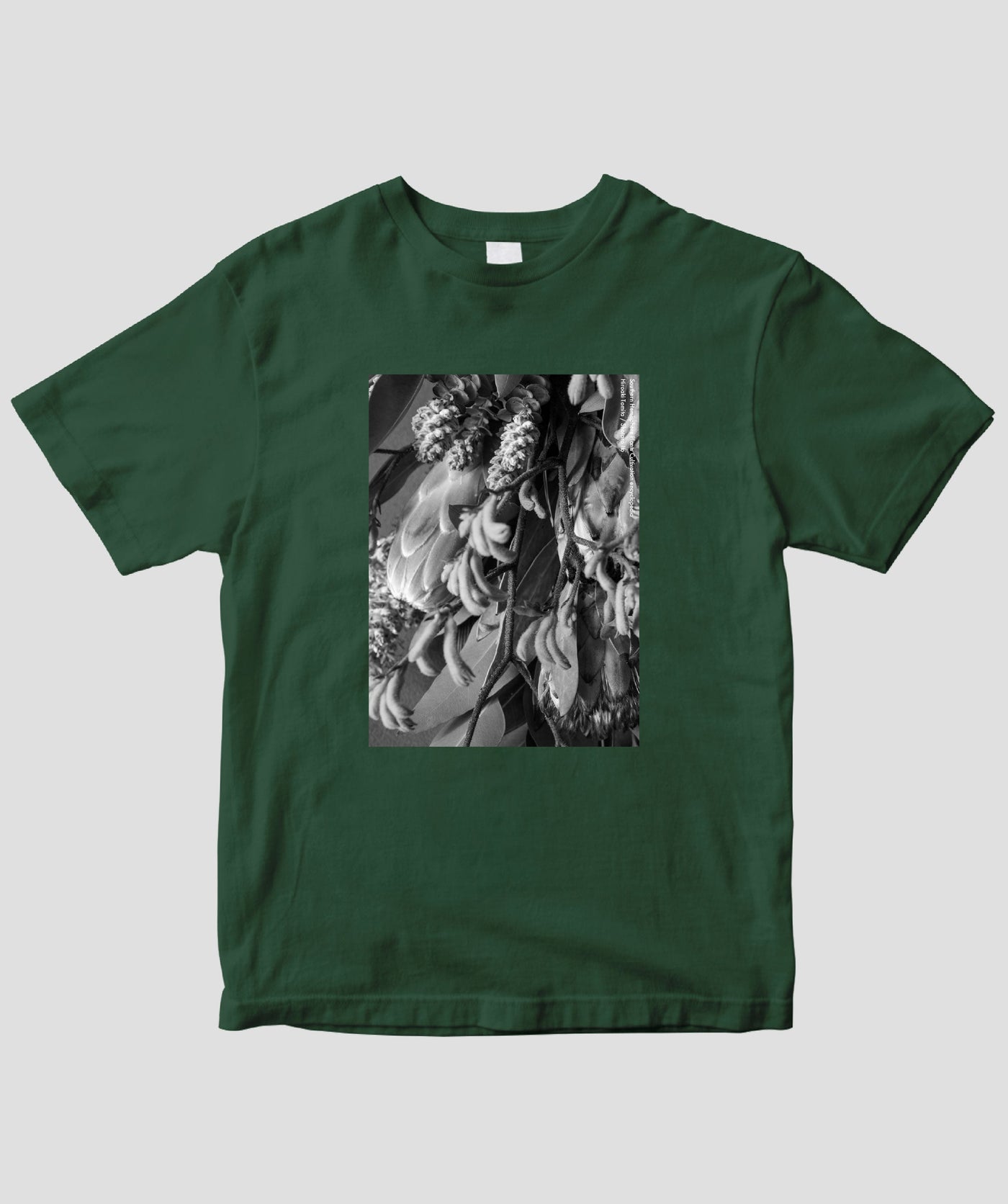 富田裕明 / 伊藤章太郎『南半球プランツ栽培事典』/ Swag / グラフィック社