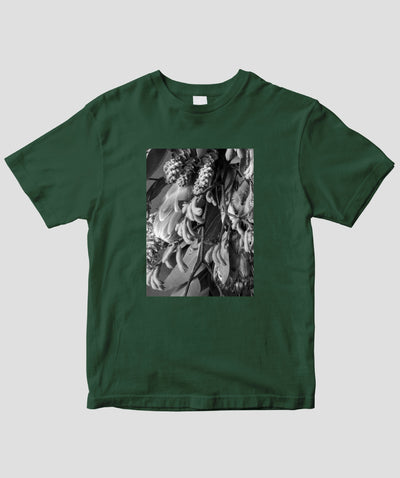 富田裕明 / 伊藤章太郎『南半球プランツ栽培事典』/ Swag / グラフィック社