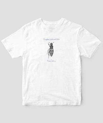 舘野鴻 虫Tシャツ「しでむし」/ 偕成社