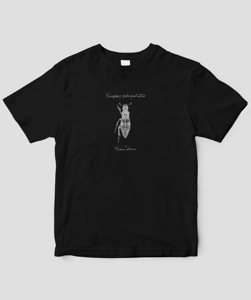 舘野鴻 虫Tシャツ「しでむし」/ 偕成社