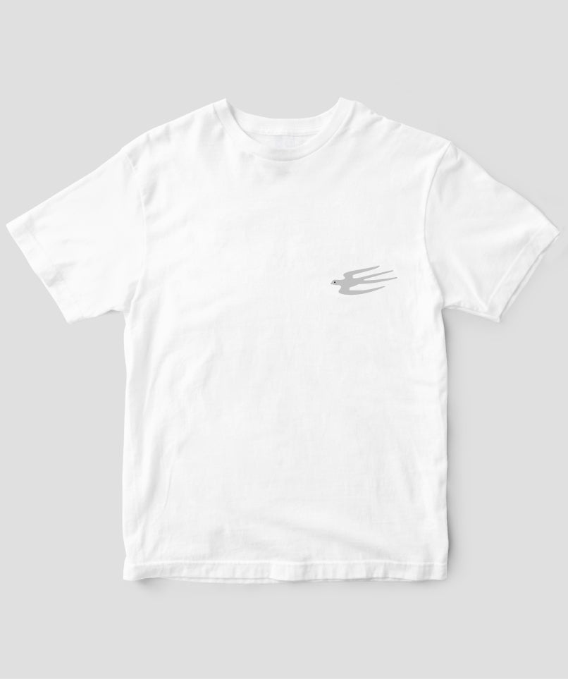 pTa-tsubame-TS-003.001.-