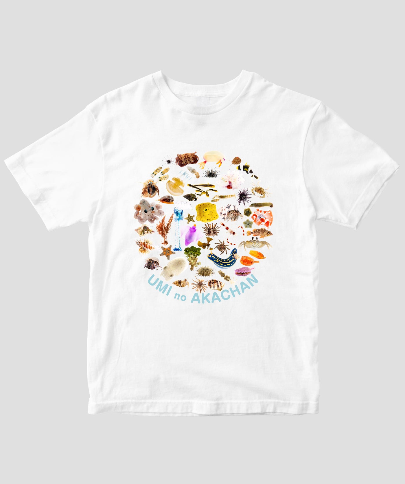 【キッズ】海のあかちゃん / 海の生き物大集合！ドライTシャツ / ワニブックス