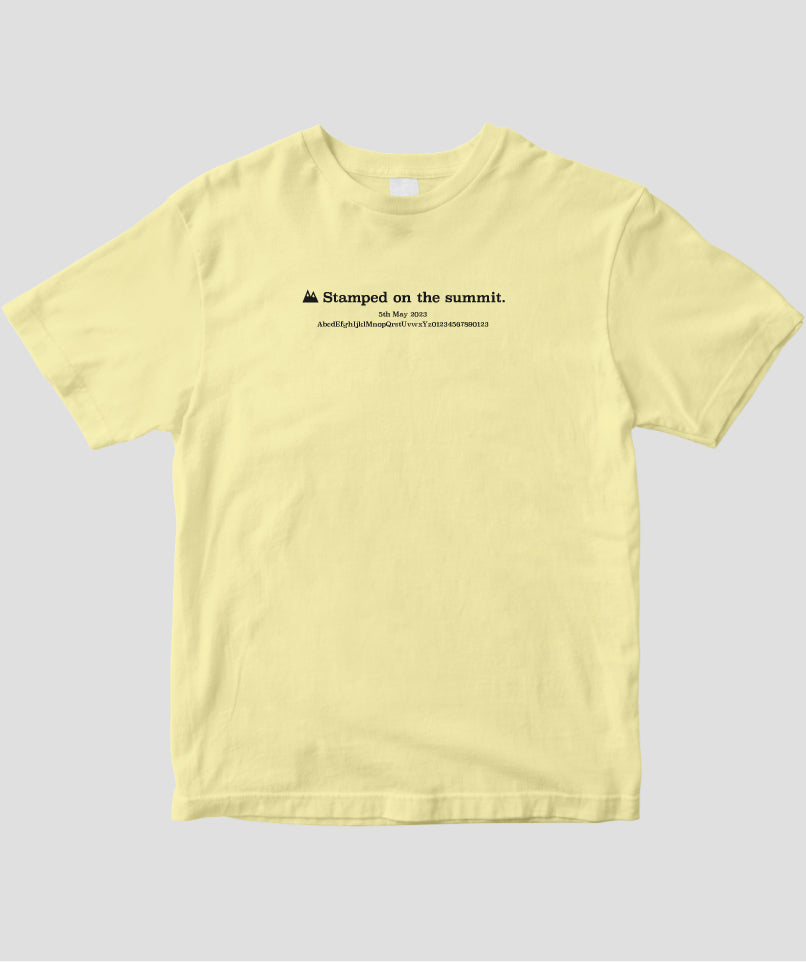 Champion tシャツ 「SHIPS別注」Champion: ウォッシュ プリント