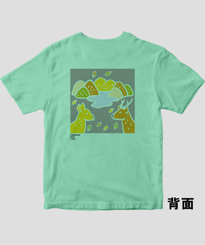 pTa-yamasta-TS-007.937.-