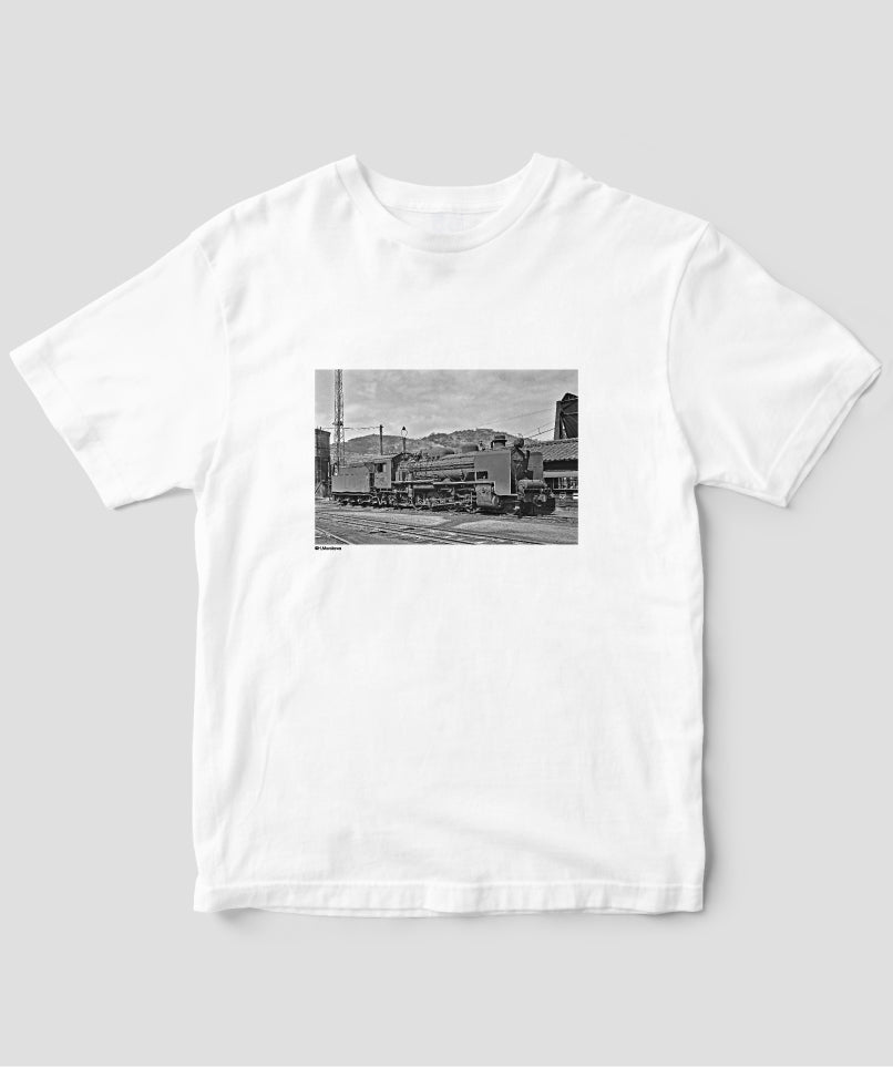 蒸気機関車EX / 諸河久・形式写真館 2 / イカロス出版