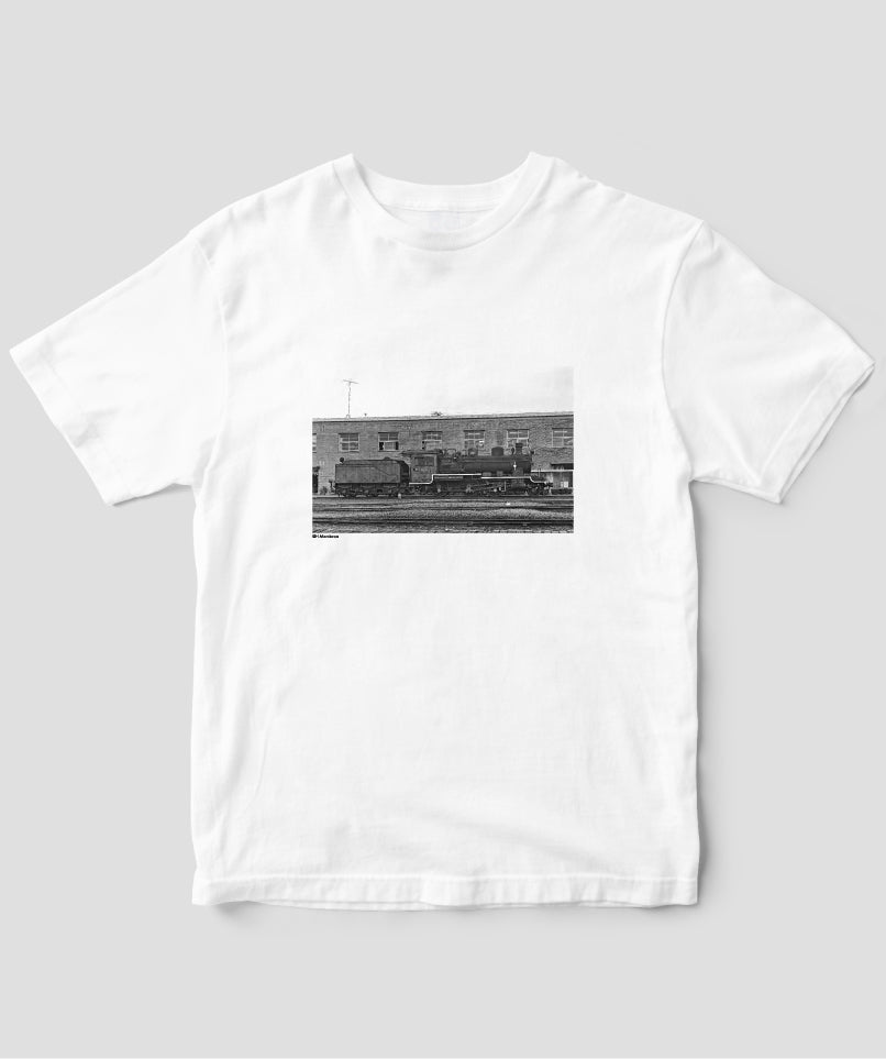 蒸気機関車EX / 諸河久・形式写真館 14 / イカロス出版